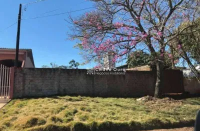 Terreno à venda, 706 m² por r$ 850.000,00 - coqueiral - cascavel/pr