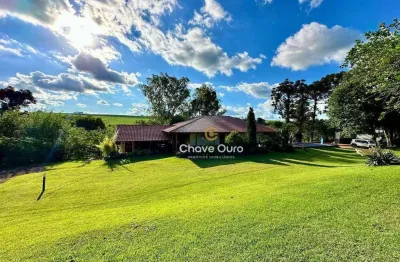 Chácara à venda, 36000 m² por r$ 3.000.000,00 - alto alegre - toledo/pr