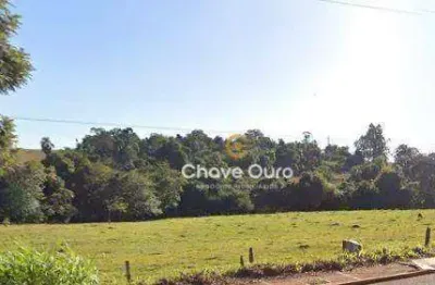 Terreno à venda, 5245 m² por r$ 1.678.000,00 - jardim coopagro - toledo/pr