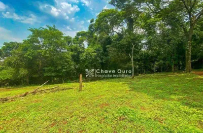 Chácara urbana à venda, 10800 m² por r$ 2.160.000 - jardim concórdia - toledo/pr
