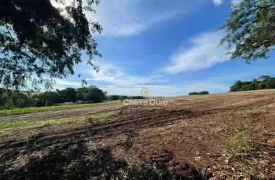 Chácara / sítio com 1 quarto à venda na Área Rural de Toledo, Toledo 