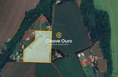 Chácara / sítio com 1 quarto à venda no jardim porto alegre, toledo  por r$ 4.000.000