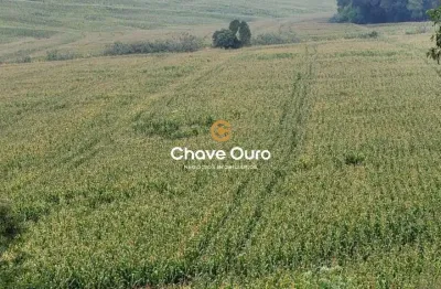 Terreno à venda em Zona Rural, Cascavel 
