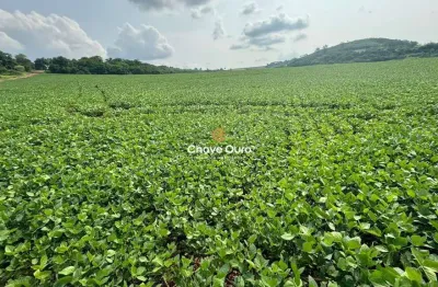 Terreno à venda no centro, são pedro do iguaçu  por r$ 9.000.000