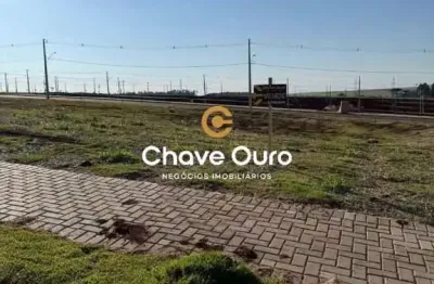 Terreno à venda no Brazmadeira, Cascavel 