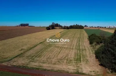 Chácara / sítio à venda em sede alvorada, cascavel  por r$ 1.150.000