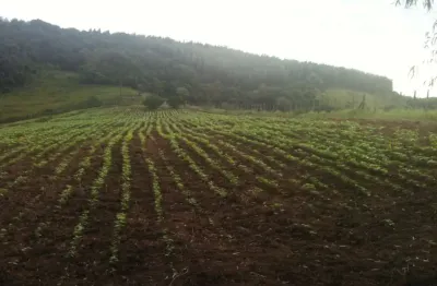 Chácara / sítio à venda na Estrada da Fazenda Dois Irmãos, Cantagalo, Rio das Ostras