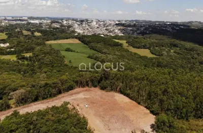 Areas de terra para sitio na linha vitoria em carlos barbosa