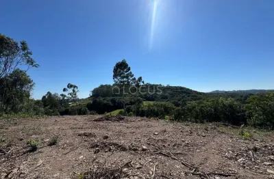 Chácara / sítio à venda na Estrada Linha Vitória, 001, Bela Vista, Carlos Barbosa