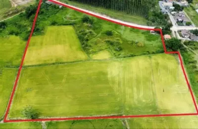 Vendo terreno com 42mil m² para plantio de arroz - cidade de gaspar/sc