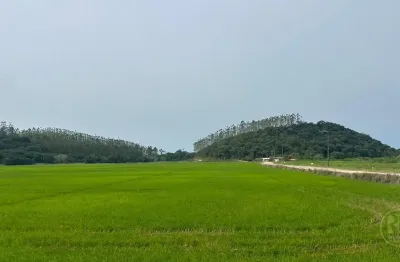 Terreno rural à venda em guaramirim/sc – 297.000 m² com plantação de arroz