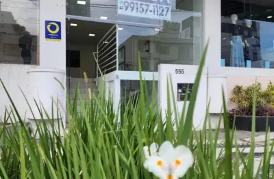 Ampla sala comercial de 280m² em galeria privilegiada - antônio da veiga