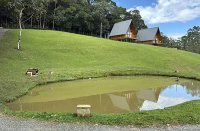 Sítio urbano de 15.000 m² no testo salto, com casa, chalés e renda extra!