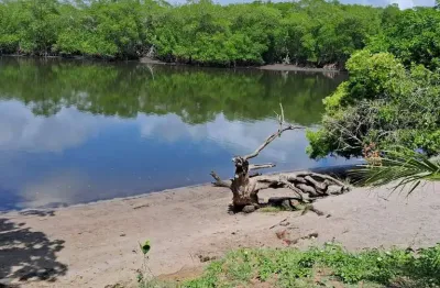 Terreno à venda na Rodovia Ba-099, 1, Barra do Jacuípe, Camaçari