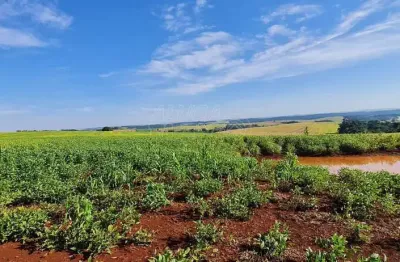 Chácara / sítio à venda no São Luiz, Londrina 