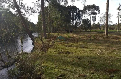 Chácara / sítio à venda na Zona Rural, Rio Rufino 