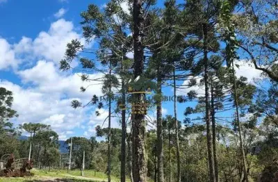 Chácara / sítio à venda no Santa Tereza, Urubici 