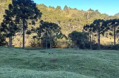 Chácara / sítio à venda no São José, Urubici 