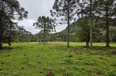 Chácara / sítio à venda no São José, Urubici 