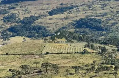 Chácara / sítio à venda na Zona Rural, Urubici 