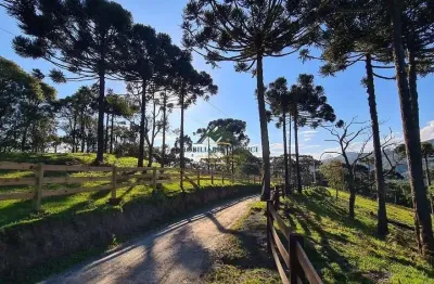 Chácara / sítio à venda no Santa Tereza, Urubici 