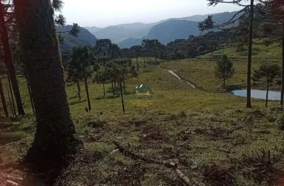 Chácara / sítio à venda na Zona Rural, Rio Rufino 
