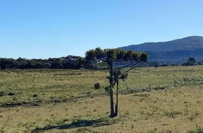 Chácara / sítio à venda na Zona Rural, Urubici 