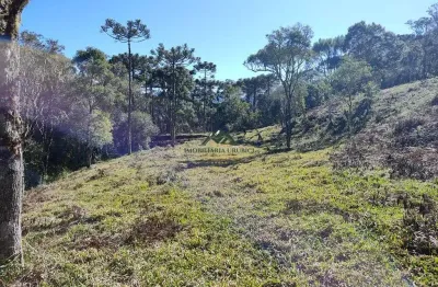 Chácara / sítio à venda no São José, Urubici 