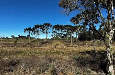 Chácara / sítio à venda no Santa Tereza, Urubici 