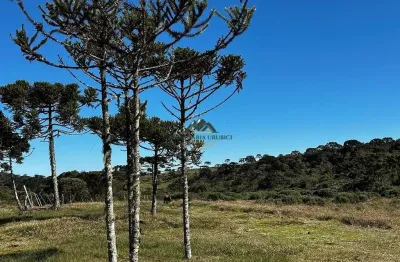 Chácara / sítio à venda no Santa Tereza, Urubici 