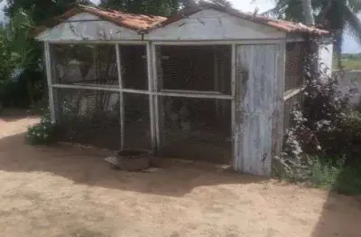 Granja com 1,5 hectares em vera cruz perto da cidade bem localizada