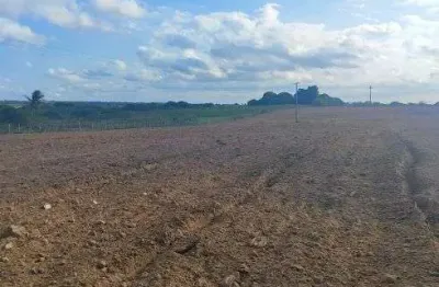 Granja com 3.6 hectares na região de monte alegre com uma excelente localização oportunidade única