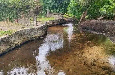 Granja com 1.5 hectares com um rio perene com piscina natural com 2 casas