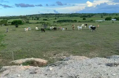 Granja com 5 hectares em várzea com uma boa estrutura e localização boa