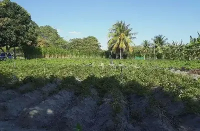 Chácara / sítio com 3 quartos à venda no Centro, Lagoa Salgada 