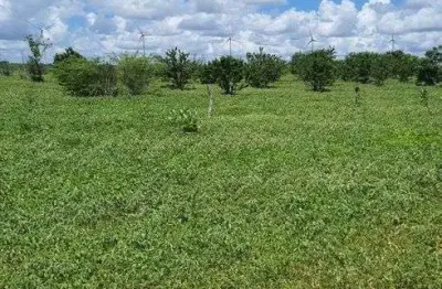 Linda fazenda com 45 hectares em jandaira com 2 poços tubulares 100% plana