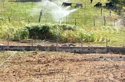 Granja com 1.3 hectares bem localizada e estruturada em jucurutu boa de água