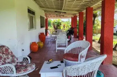 Granja com 3.7 hectares em monte alegre bem estruturada localização perfeita