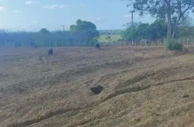 Chácara / sítio com 3 quartos à venda no Centro, Monte Alegre 