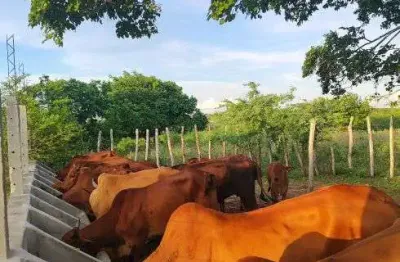 Fazenda com 44.8 hectares de porteira fechada em bom jesus um a excelente propriedade