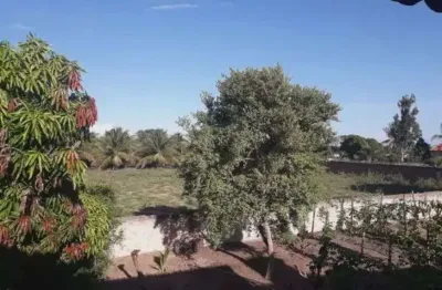 Granja com 2.431 metros no arena municipal de são josé de mipibu
