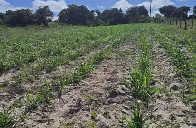 Fazenda/sítio/chácara para venda possui 27800 metros quadrados com 3 quartos