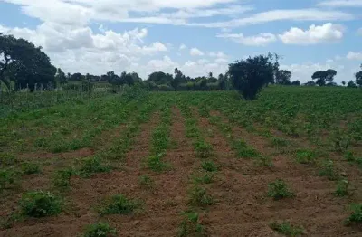 Chácara / sítio com 3 quartos à venda no Centro, Vera Cruz 