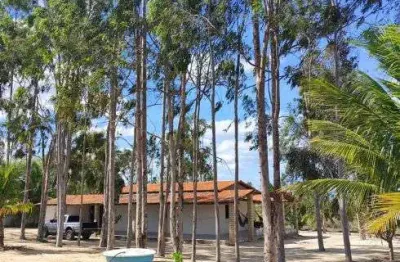Chácara / sítio com 3 quartos à venda no Centro, Senador Elói de Souza 