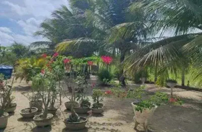 Chácara / sítio com 3 quartos à venda no Centro, Lagoa de Pedras 