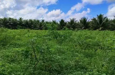 Fazenda chácara para venda tem 4000 metros quadrados um poço tubular irrigação energia trifásica
