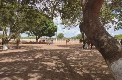 Haras com 2.7 hectares na região de macaíba bastante estruturada 100% murada