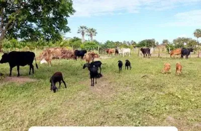 Fazenda/sítio/chácara com 12 hectares com uma casa 