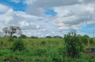 Chácara / sítio com 4 quartos à venda no Centro, Macaíba 