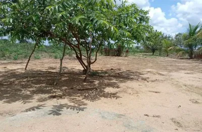 Chácara / sítio com 3 quartos à venda no Centro, Vera Cruz 